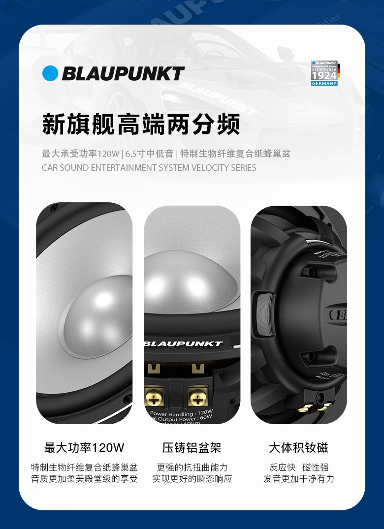 德國(guó)（藍(lán)寶BLAUPUNKT）MPS 2662 C38 新旂艦高端兩分頻