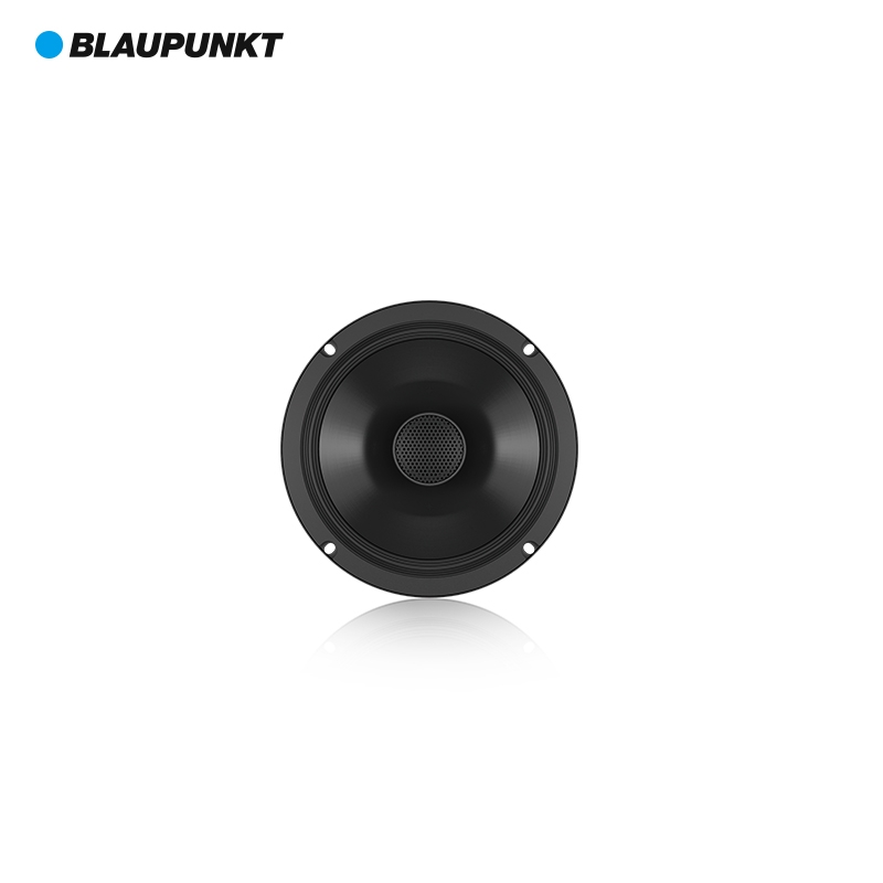 德國藍(lán)寶（BLAUPUNKT）BGx 6652 衕軸喇叭